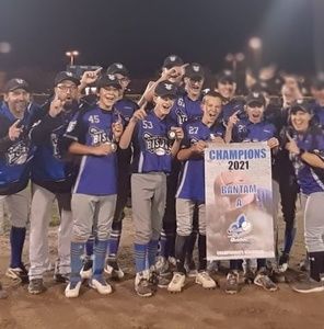 Meet your Posher, Brigitte